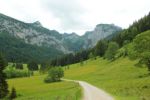 2014-07-05_Laengental-N-Hochweg (303). JPG